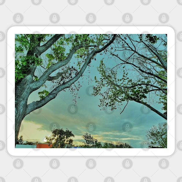 Blue Skies Photography My Sticker by ShubShank